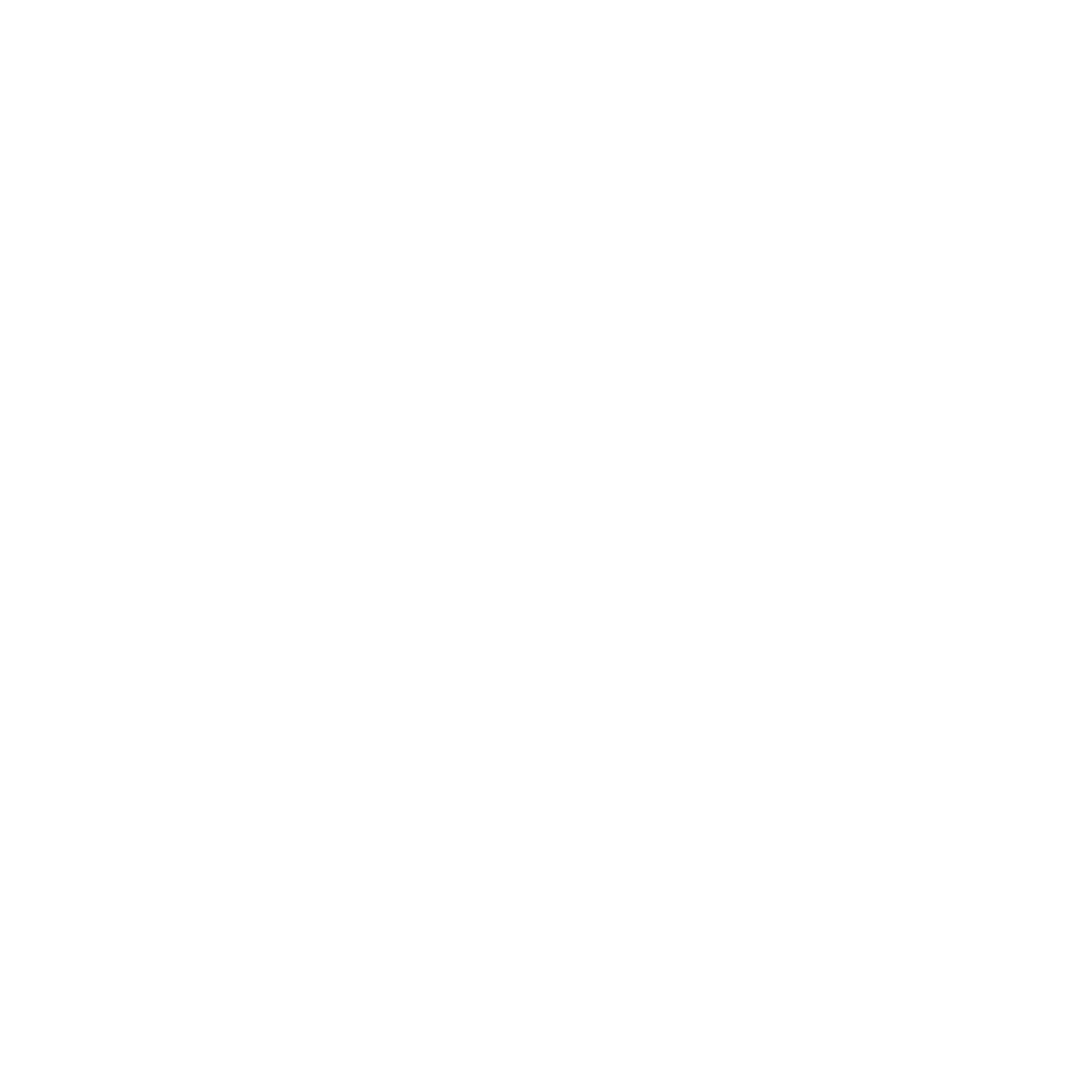 Voxy logo white-01